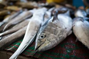 fische auf fischmarkt